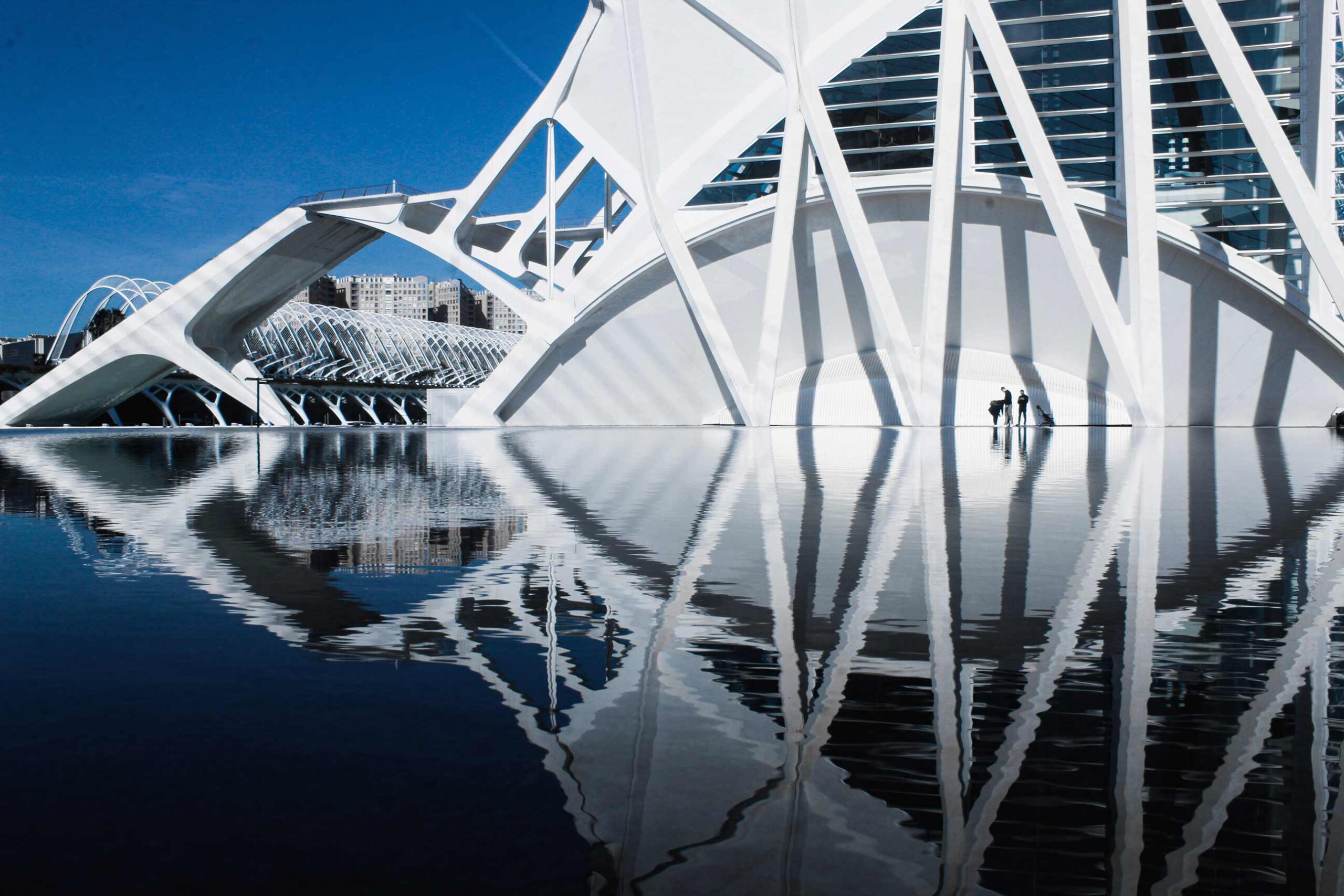 Artes y Ciencias — pieza 6